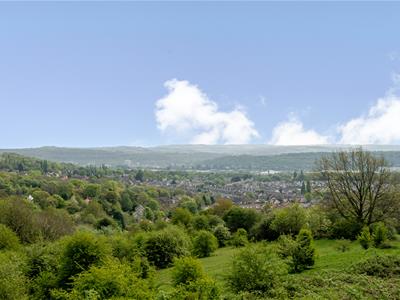 Picture 21